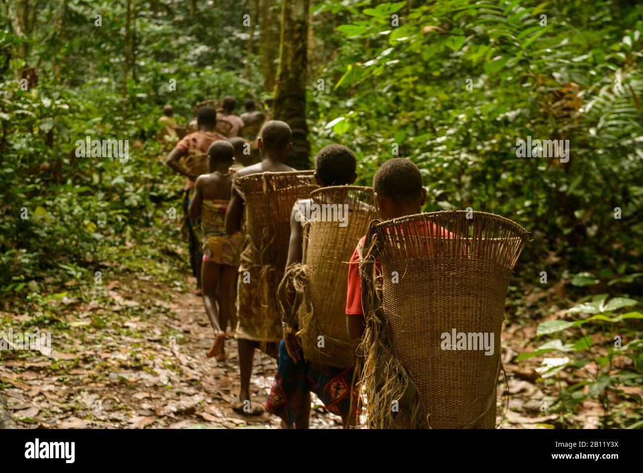 Das Leben der Bayaka Pygmäen im äquatorialen Regenwald, Zentralafrikanische Republik, Afrika Stockfoto