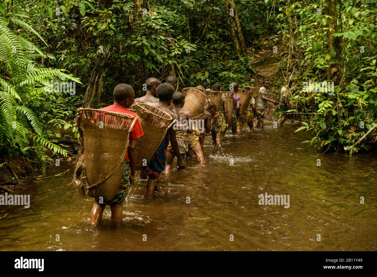 Das Leben der Bayaka Pygmäen im äquatorialen Regenwald, Zentralafrikanische Republik, Afrika Stockfoto