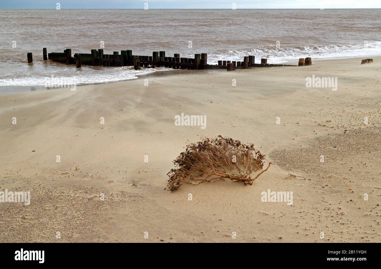 Ein Blick auf Wind geblasenen Sand an einem luftigen Wintertag an der Küste von Norfolk bei Walcott, Norfolk, England, Großbritannien, Europa. Stockfoto