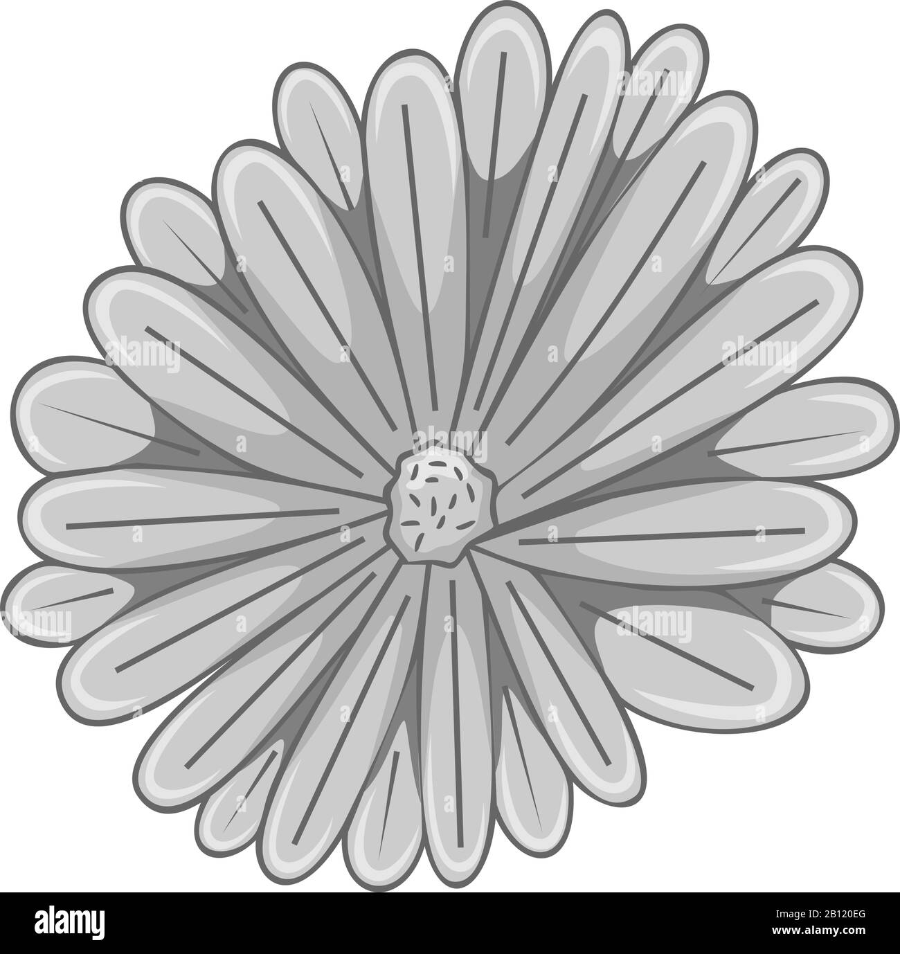 Vektor botanische Blumenbebilderung Farbschmuck Stock Vektor