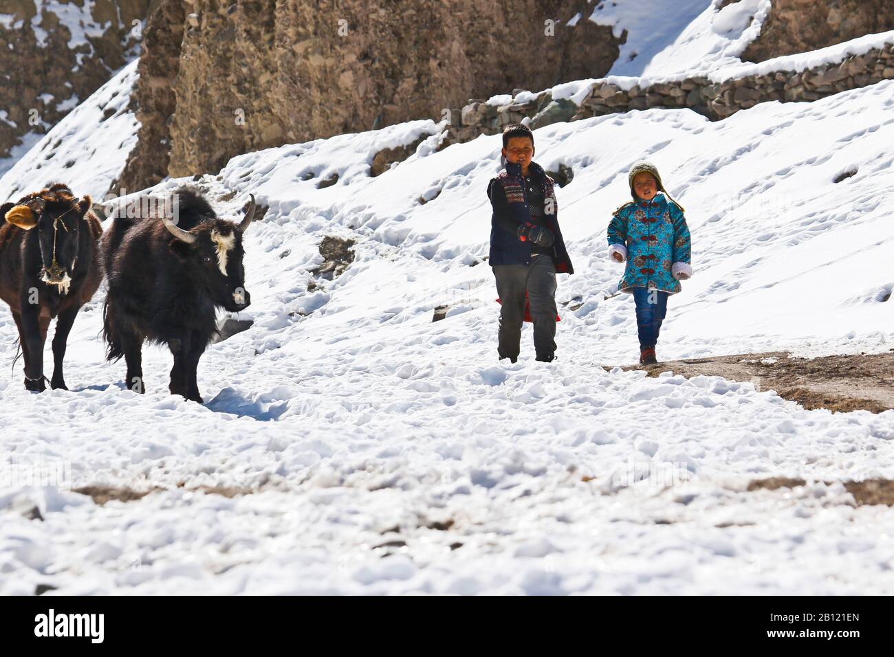 Lokale Leute, die Lieferungen nach Rumbak Dorf transportieren. Hemis National Park.Himalaya, Ladakh, Indien Stockfoto