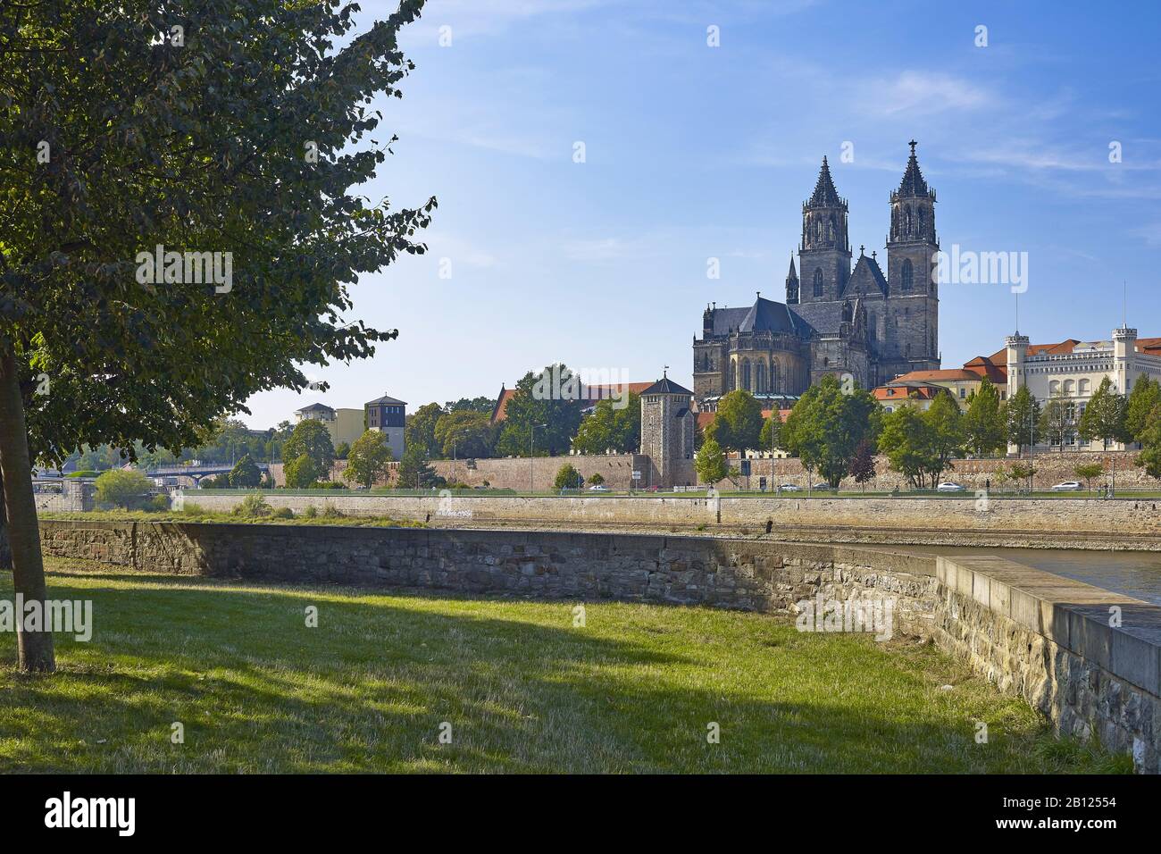 Blick über die Elbe zum Dom, nach Magdeburg, Sachsen-Anhalt, Deutschland Stockfoto