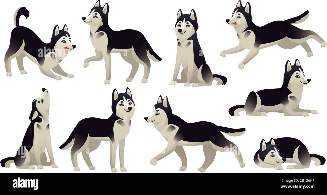 Husky-Hundeposen. Zeichentrickserie, sitzende und springende Hunde. Active Huskies Animal Characters isolierter Vektorsatz Stock Vektor