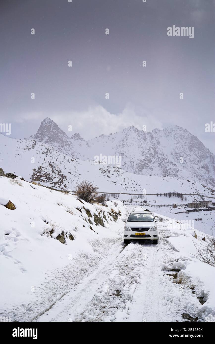 Touristische Expedition auf der Suche nach Schneeleoparden im Ulley Valley. Ladakh. Himalaya. Indien Stockfoto