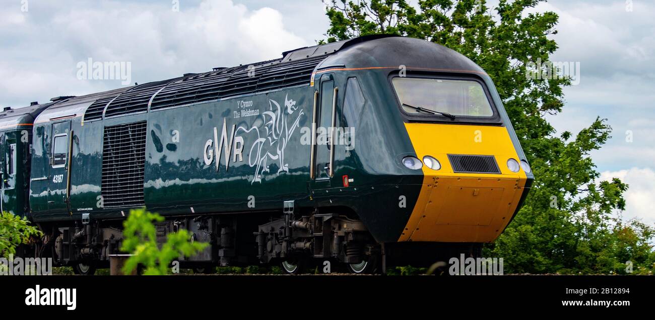 Der Welshman, ein GWR Intercity-Zug in der Nähe des Powderham-Anwesens in Devon Stockfoto