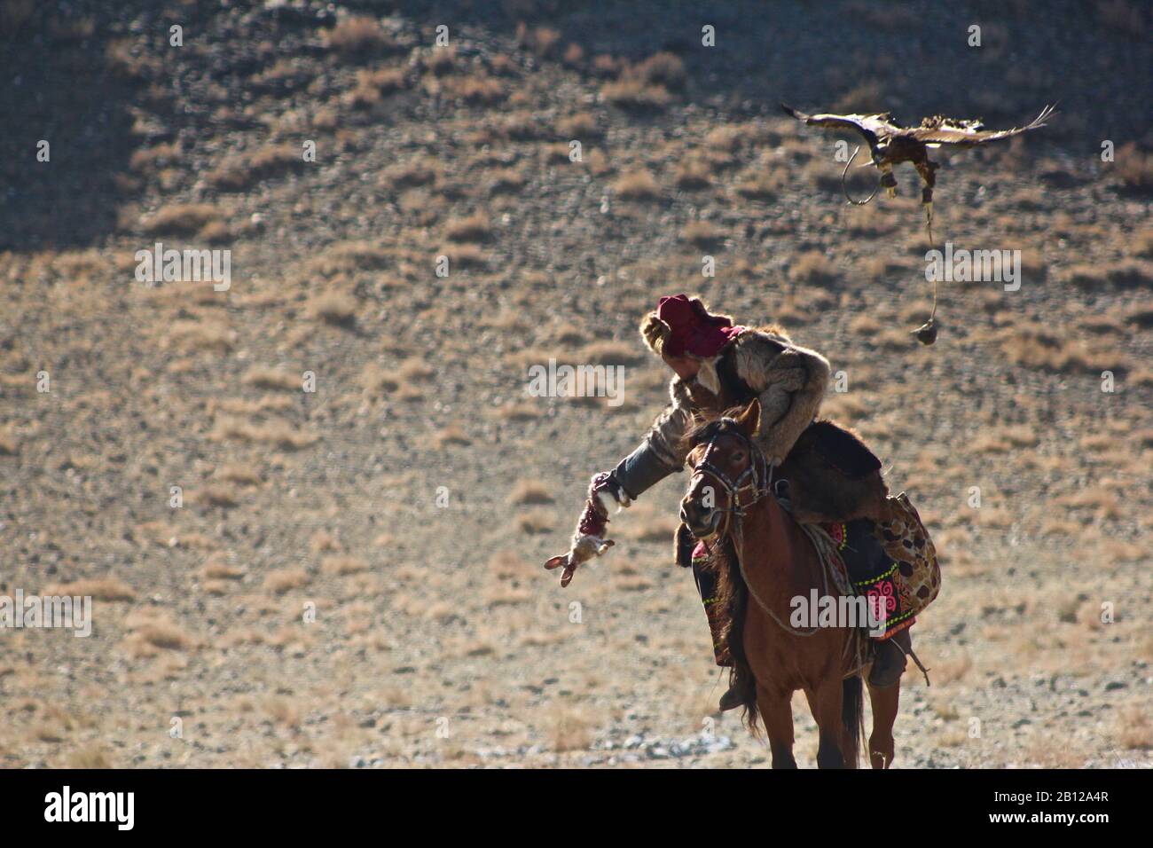 Golden Eagle Festival Mongolia 2018 Stockfoto