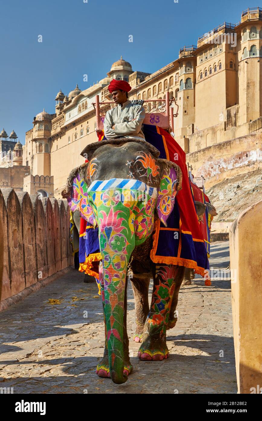 Bunt bemalte indische Elefanten bringen Touristen in das Amer-Fort, Jaipur, Rajasthan, Indien Stockfoto