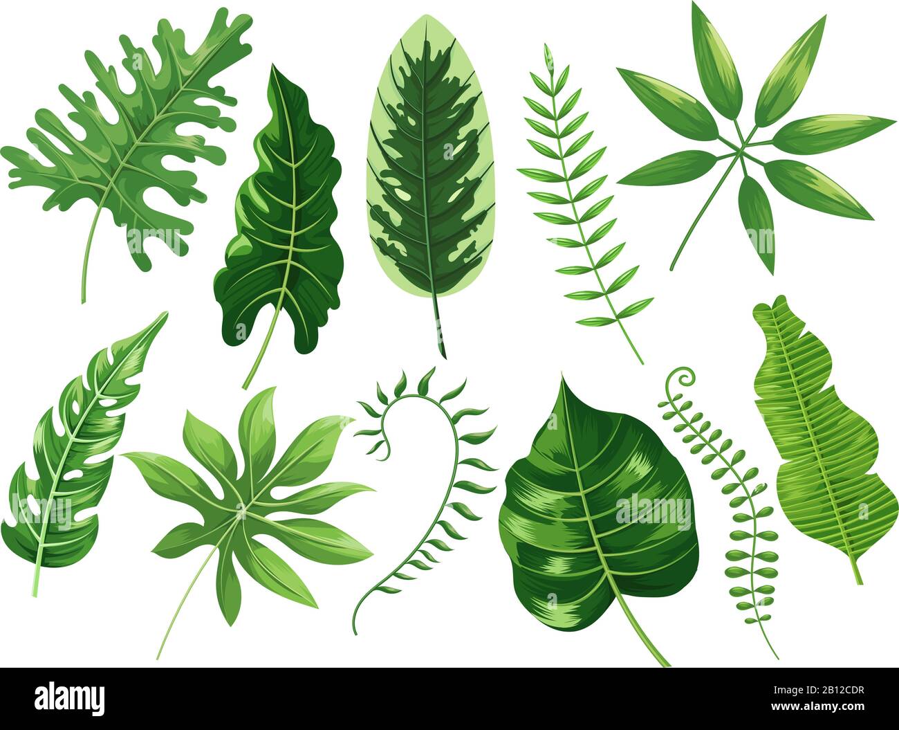 Tropische Blätter. Exotische tropische Blätter, botanischer Regenwald