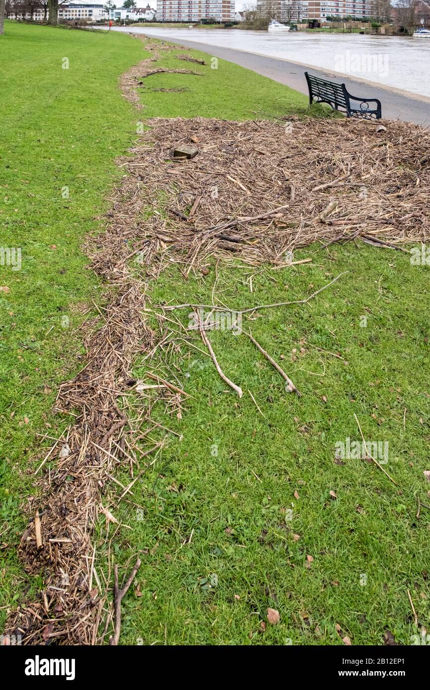 Flussschutt entlang des Flussufers des River Trent, der den hohen Wasserstand des überfluteten Flusses Nottingham, England, Großbritannien markiert Stockfoto