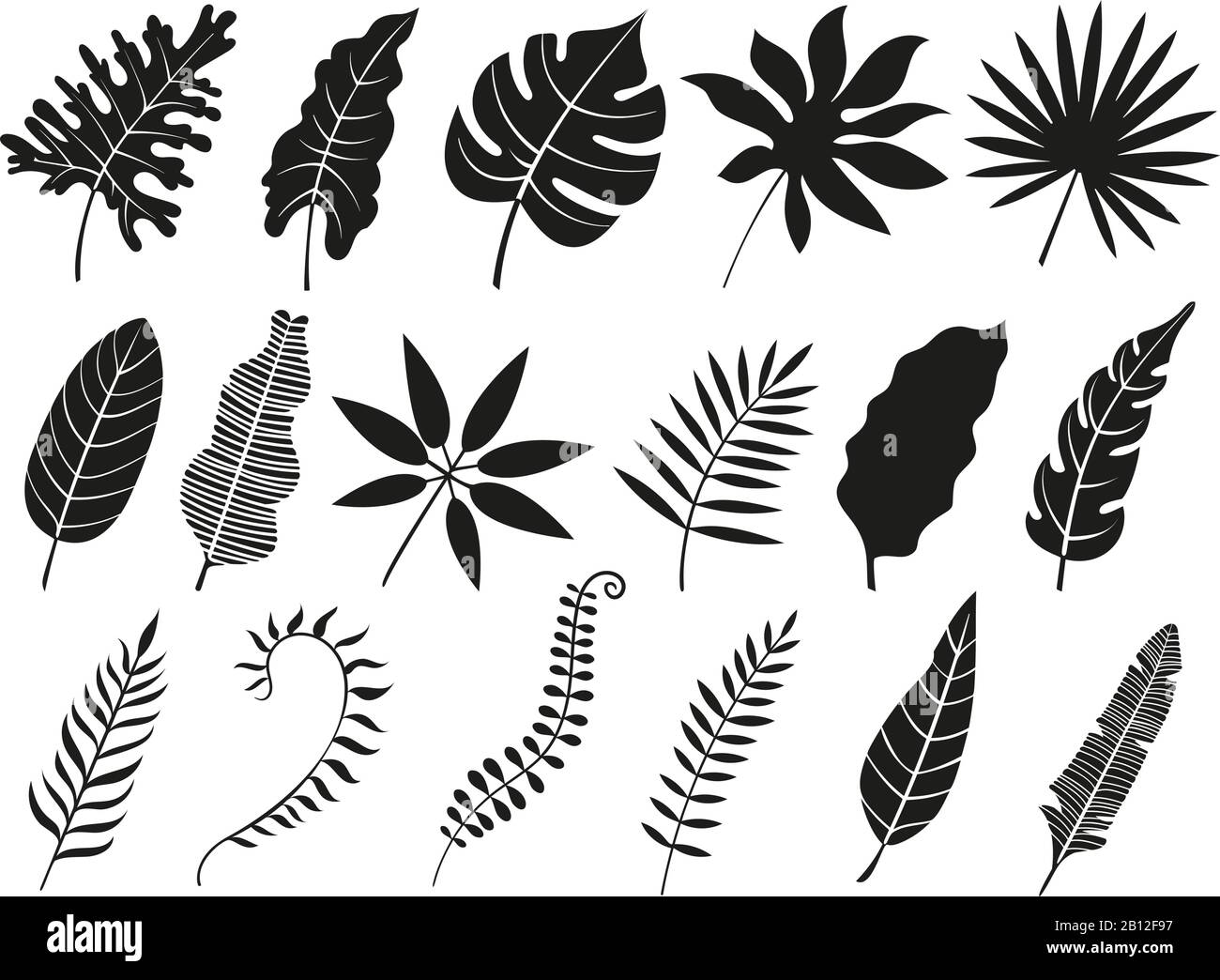 Palmenblättrige Silhouette. Monstera Frond, Plant hinterlässt Silhouetten und tropische Palmen frittieren isolierte Vektorsymbole Stock Vektor