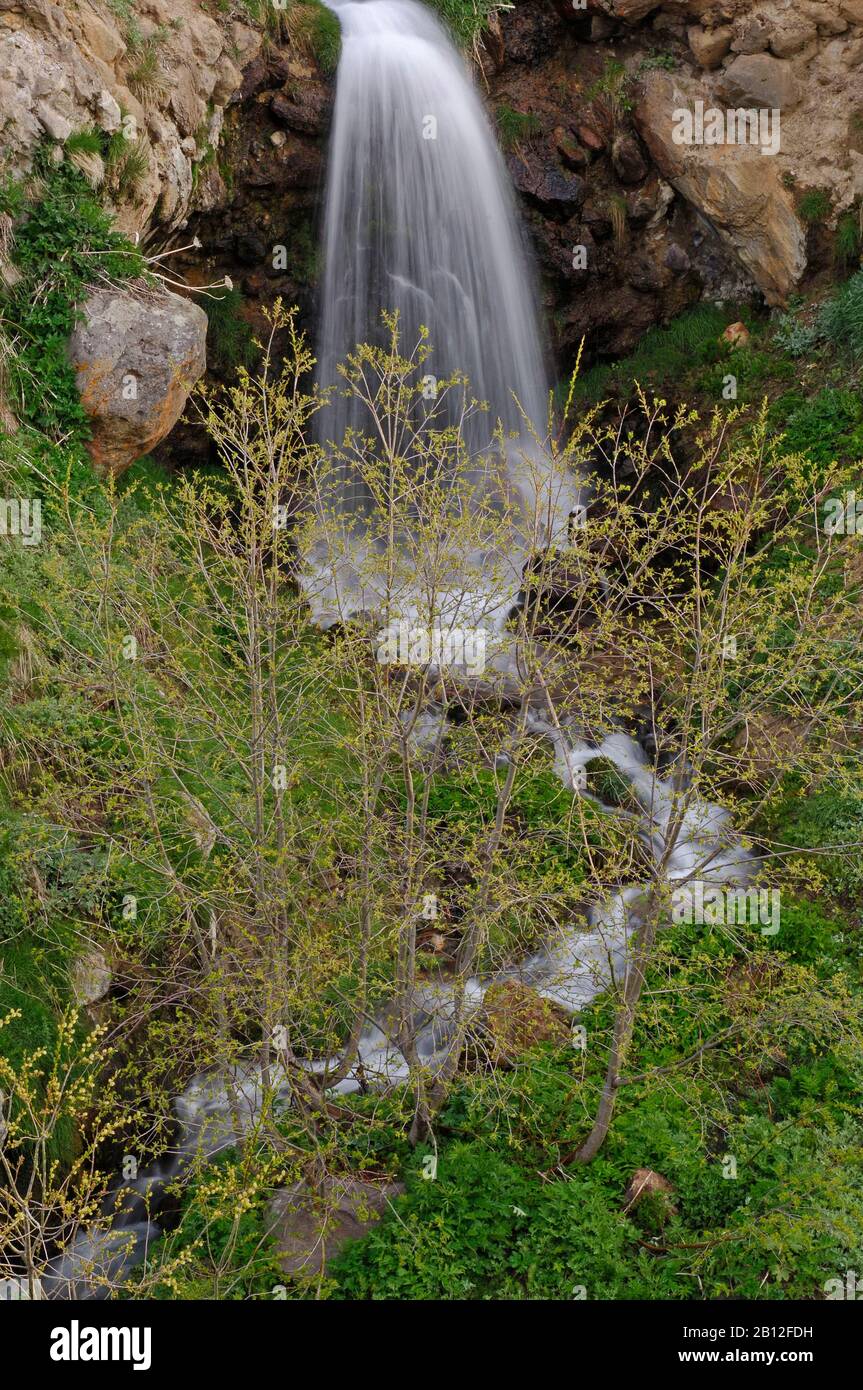 Faszinierende Natur von Kamtschatka Stockfoto