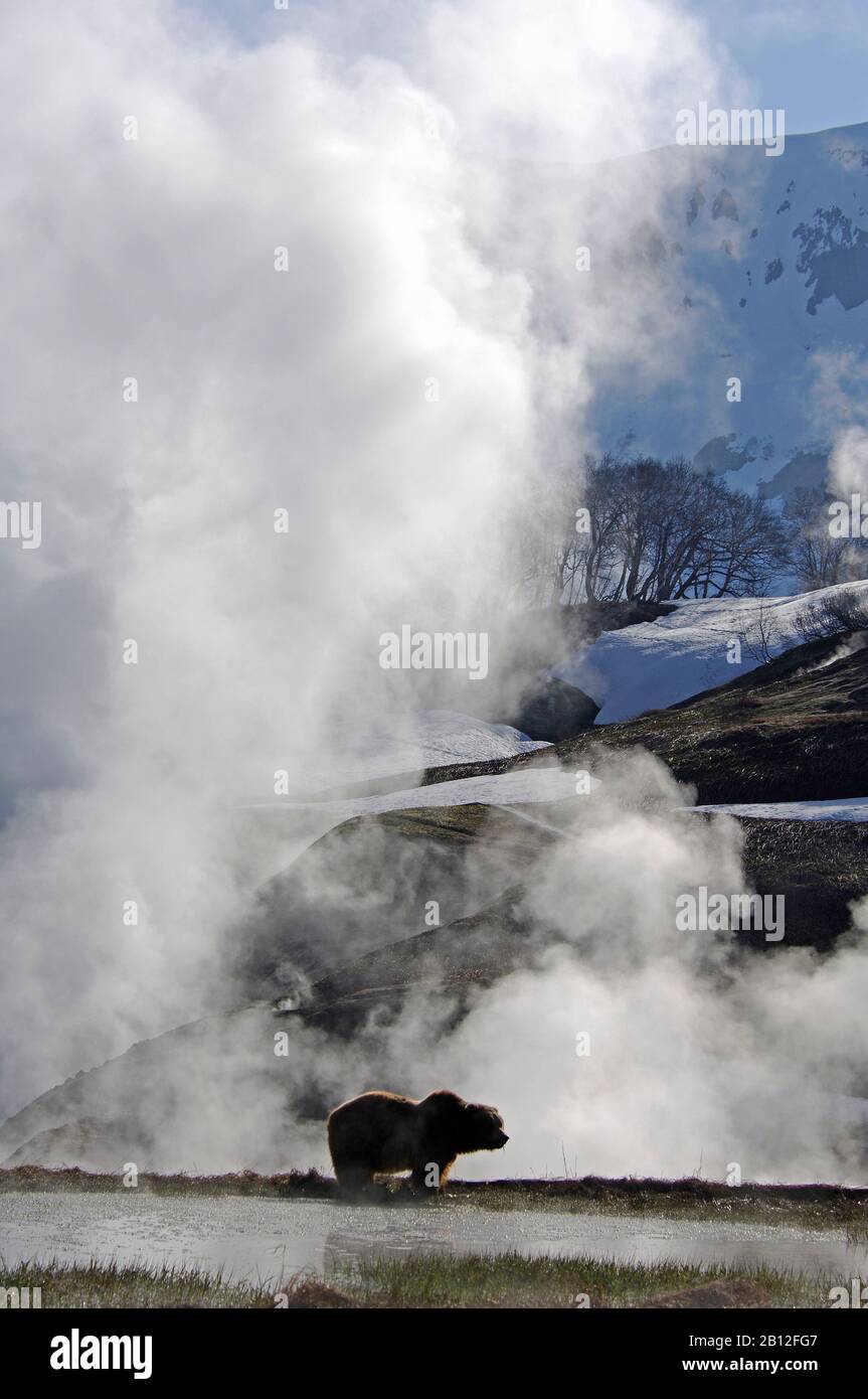 Faszinierende Natur von Kamtschatka Stockfoto