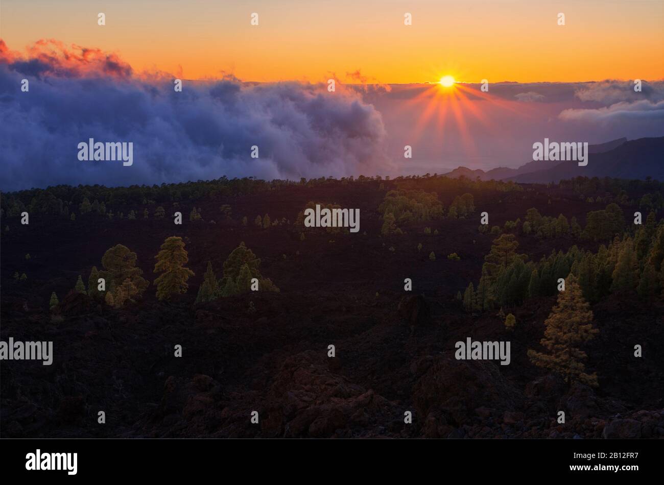 Sonnenaufgang über den Wolken auf Teneriffa, Kanarische Inseln, Spanien Stockfoto