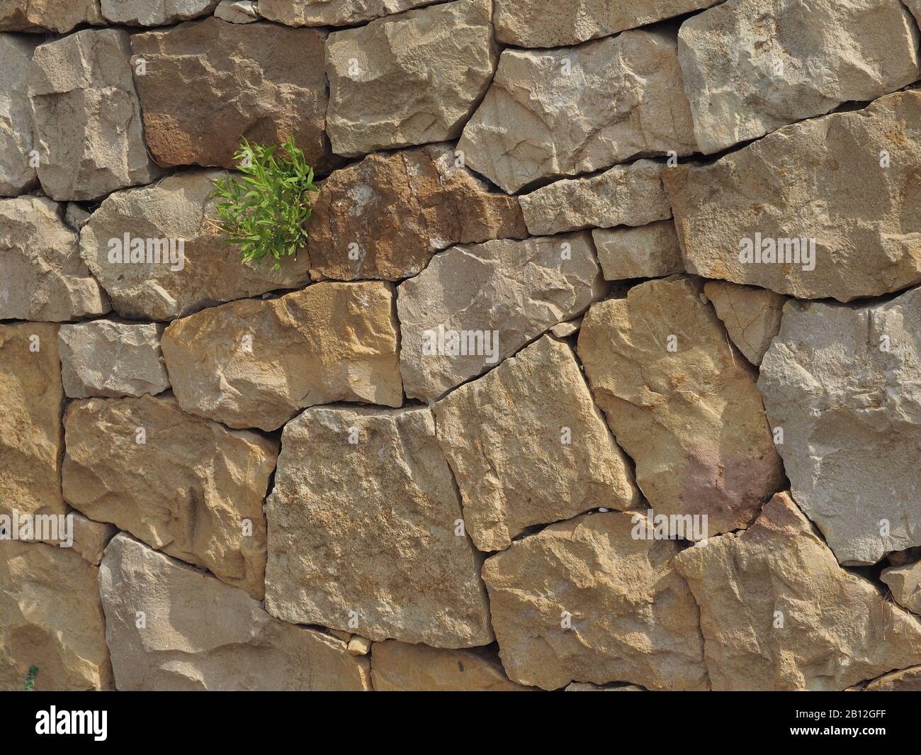 Steinmauer mit Vegetation, die an der archäologischen Stätte der Antiken Zone, Thrakien, Griechenland wächst Stockfoto