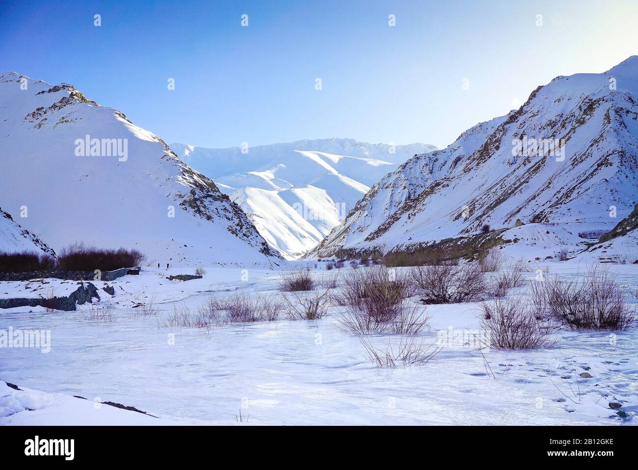 Rumbak-Tal. Nationalpark Hemis. Ladakh, Himalaya. Indien Stockfoto