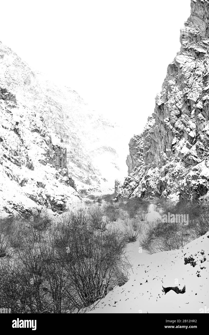 Rumbak-Tal. Nationalpark Hemis. Ladakh, Himalaya. Indien Stockfoto