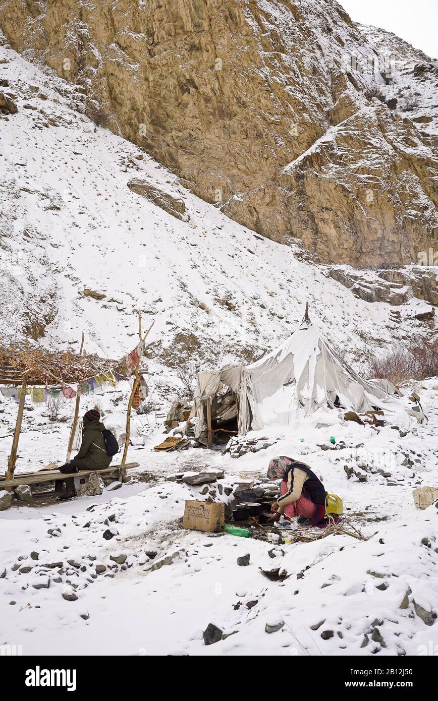 Ureinwohner, Rumbak Tal. Hemis Nationalpark. Ladakh, Himalaya. Indien Stockfoto
