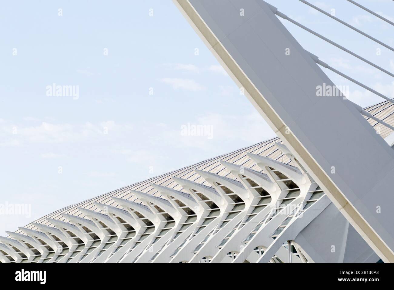 Museo de las Ciencias Principe Felipe, Stadt der Künste und Wissenschaften, Valencia, Spanien Stockfoto Museo de las Ciencias Principe Felipe, Stadt der Künste und Wissenschaften, Valencia, Spanien Stockfoto