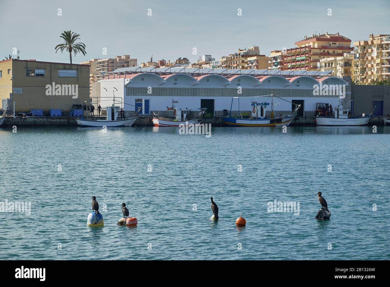 Hafen von Fuengirola, Provinz Málaga, Andalusien, Spanien. Stockfoto