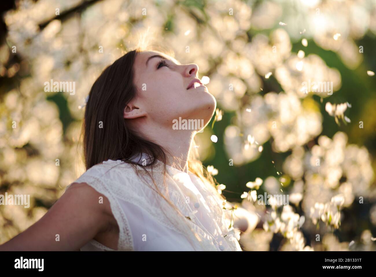 Porträt einer jungen Frau mit Kirschblüten Stockfoto