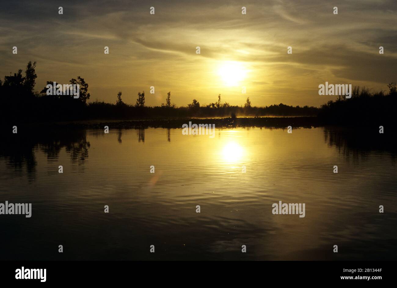 Cienaga von zapata. Zapata Sumpf, Matanzas. Kuba Stockfoto