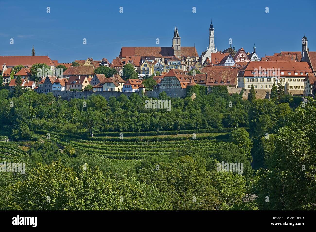 Stadtbild mit Weinbergen von Rothenburg ob der Tauber, Bayern, Deutschland Stockfoto