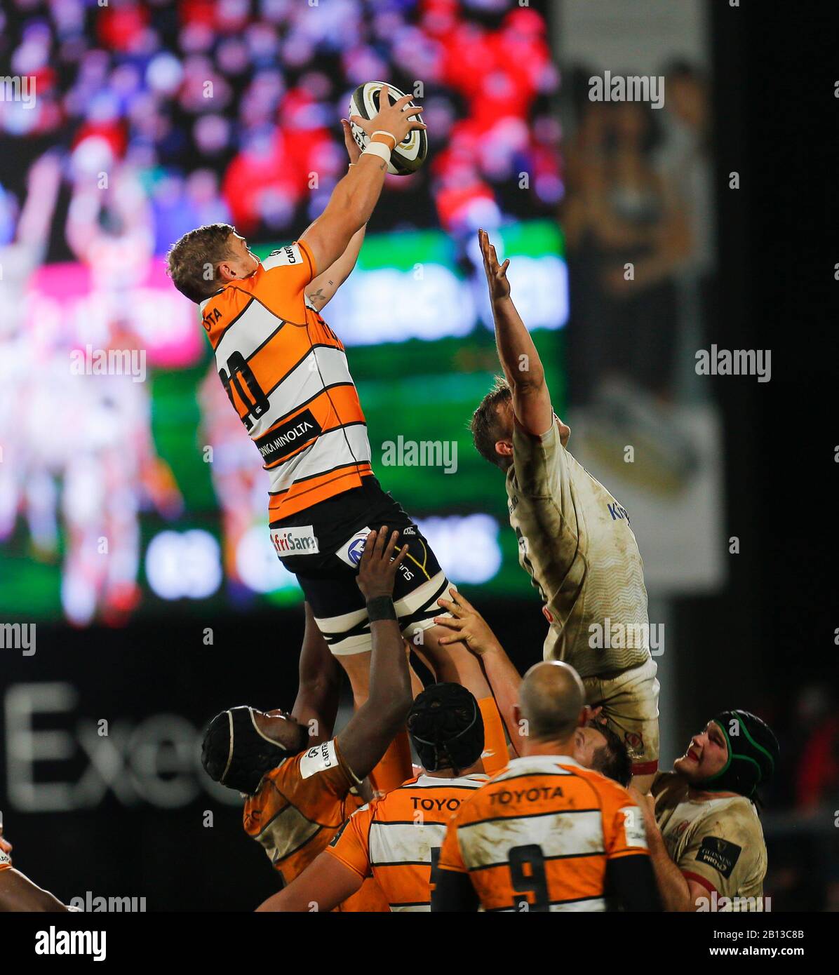 Februar 2020; Kingspan Stadium, Belfast, Antrim County, Nordirland; Guinness Pro 14 Rugby, Ulster versus Cheetahs; Aidon Davis von Cheetahs gewinnt den Line Out Ball Stockfoto