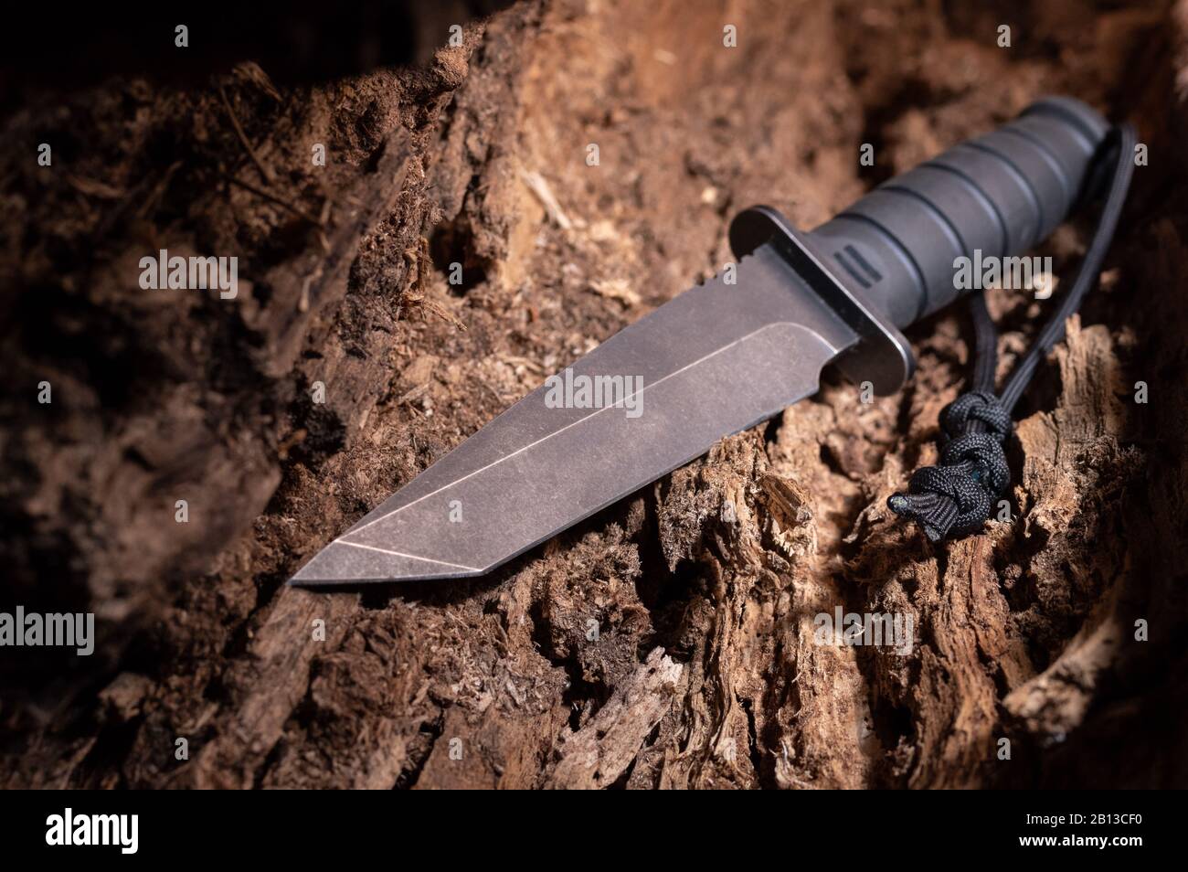 Ein großes schwarzes Messer in mittleren Holzstämmen. Ein großes Armeemesser. Stockfoto