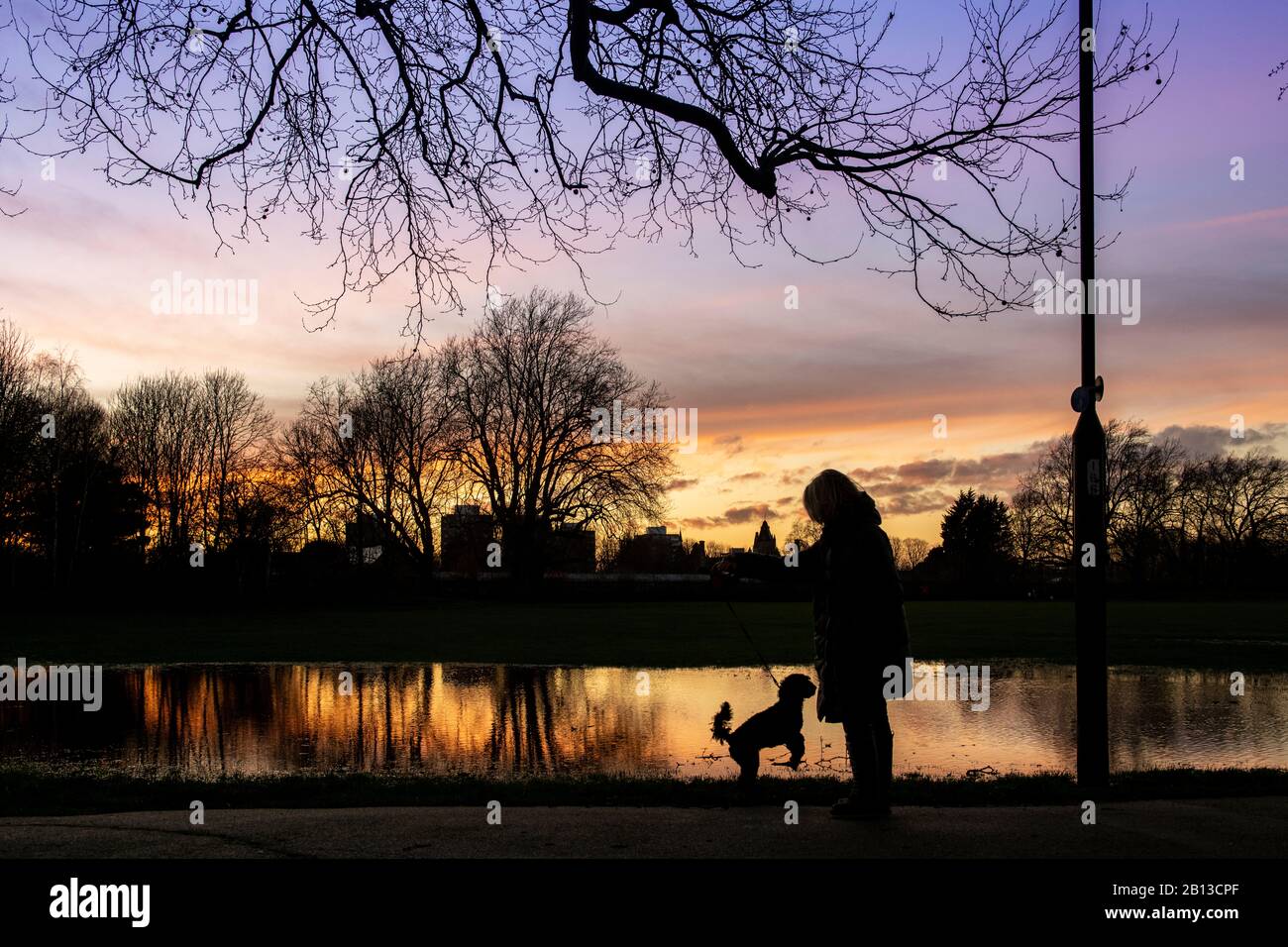 Eine Frau läuft ihren Hund im Februar nach Sonnenuntergang durch einen überfluteten Londoner Park Stockfoto