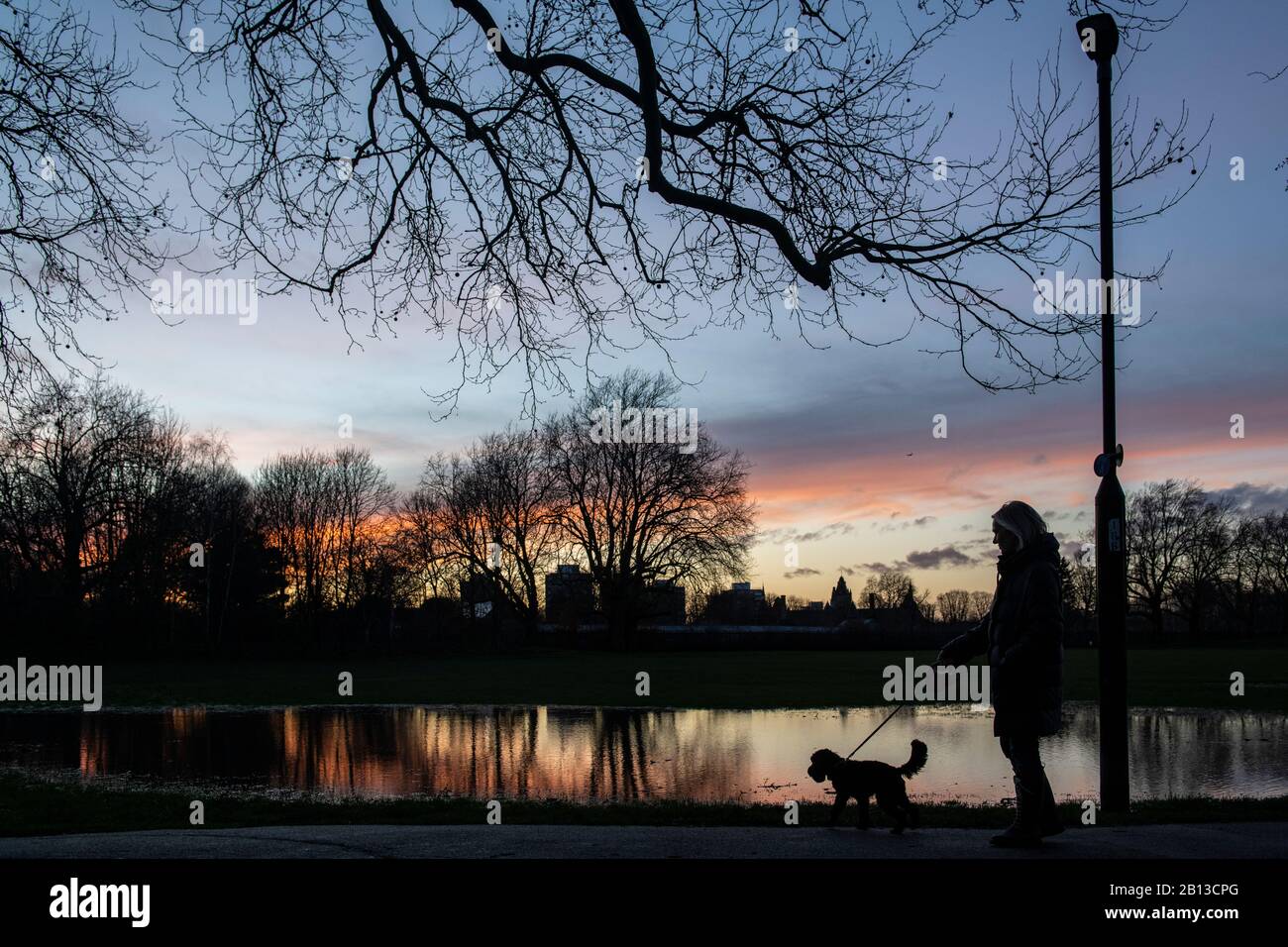 Eine Frau läuft ihren Hund im Februar nach Sonnenuntergang durch einen überfluteten Londoner Park Stockfoto