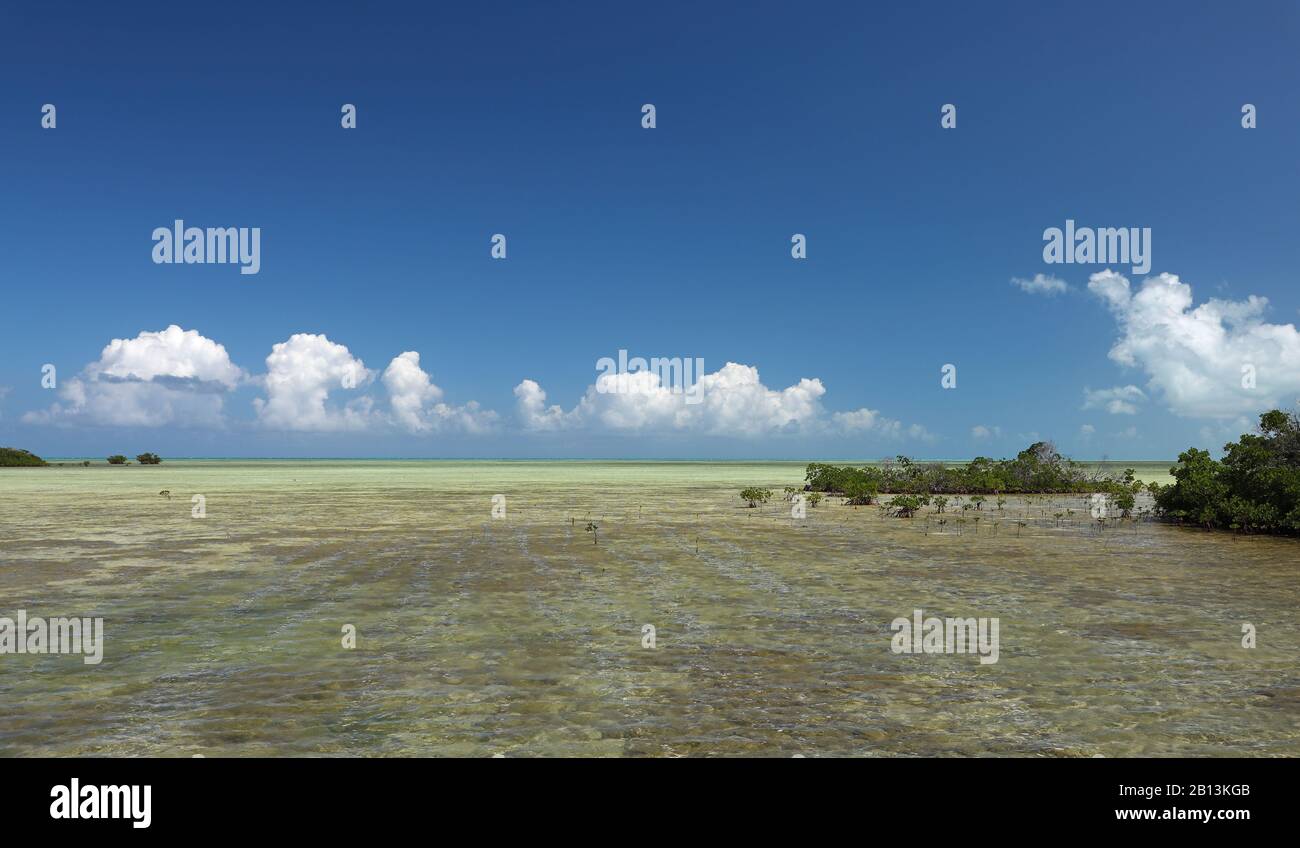 Küste des karibischen Meeres, Kuba, Cayo Guillermo Stockfoto