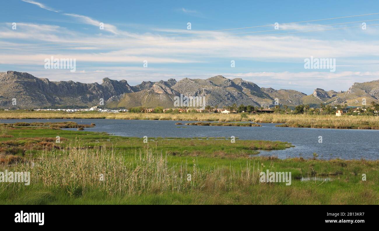 Blick nach Norden, Spanien, Balearen, Mallorca, Albufera National Park Stockfoto