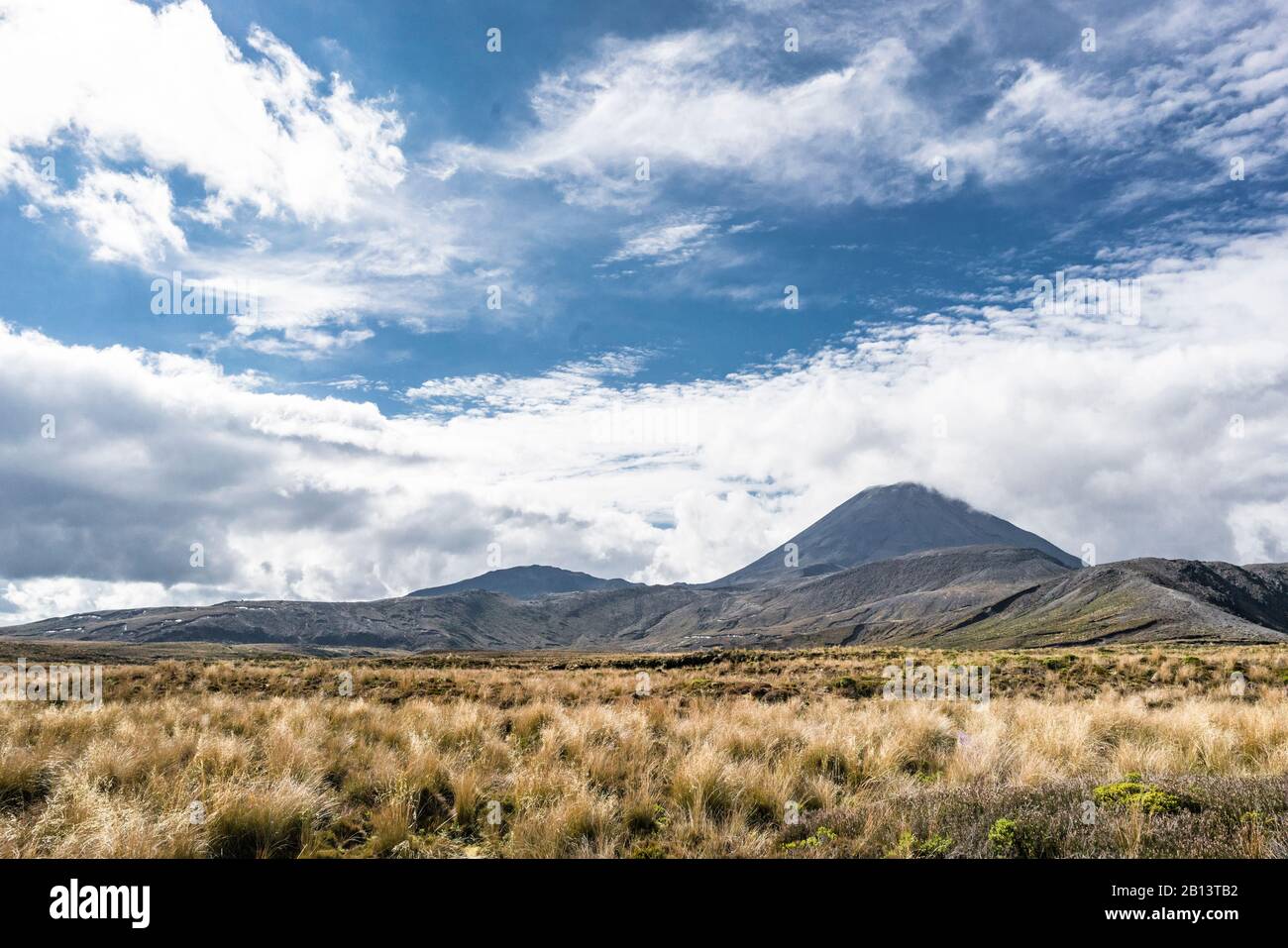 Mount Tongariro mit Grasland, Lord of the Rings Location, Mordor, Tongariro National Park, Neuseeland Stockfoto