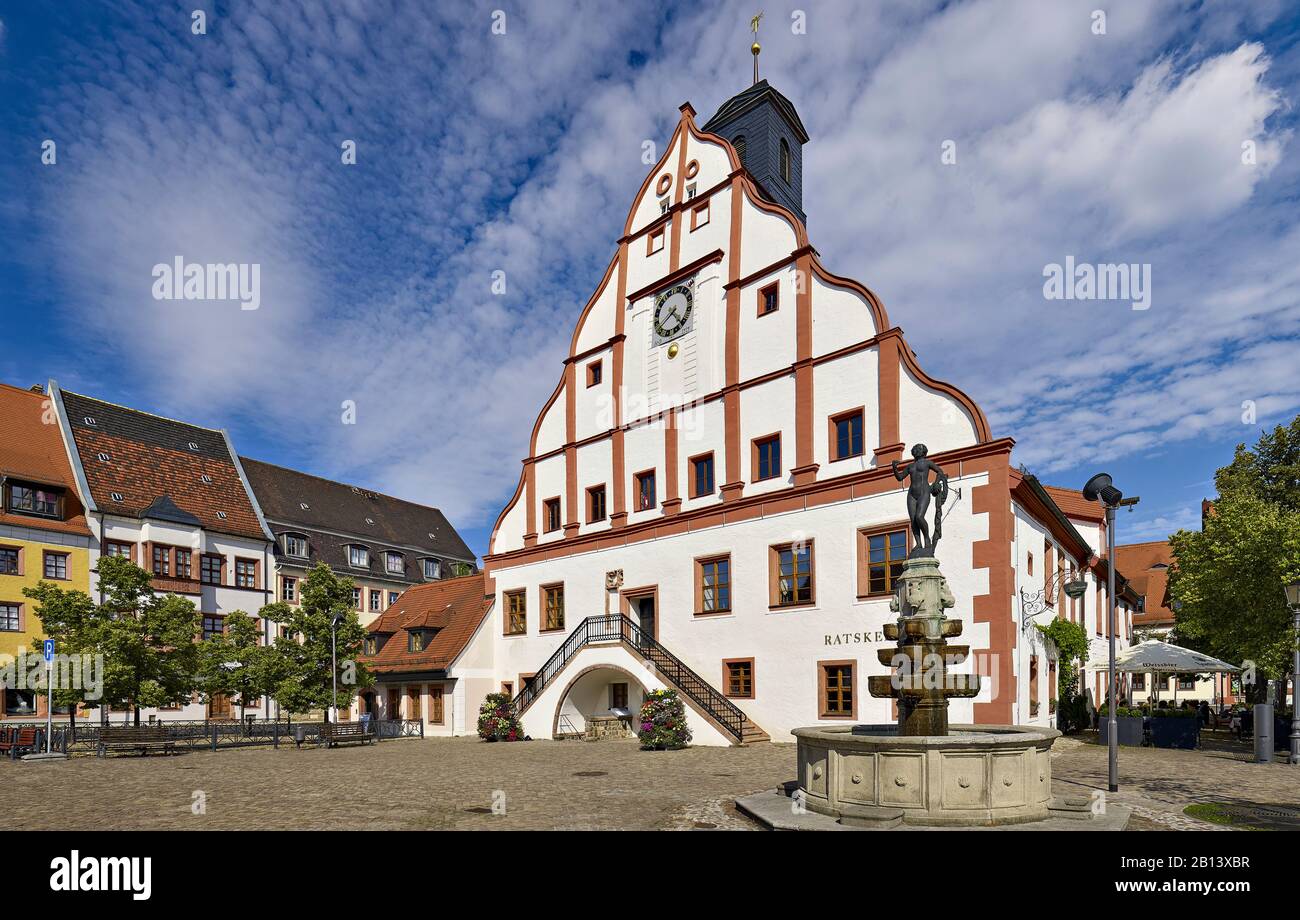 Rathaus am Markt in Grimma, Bezirk Leipzig, Sachsen, Deutschland Stockfoto