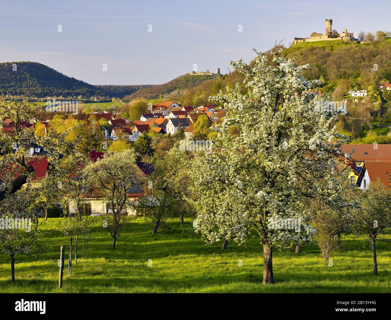 Fruchtblüte am muhlberg mit burg gleich und muhlburg Fotos und
