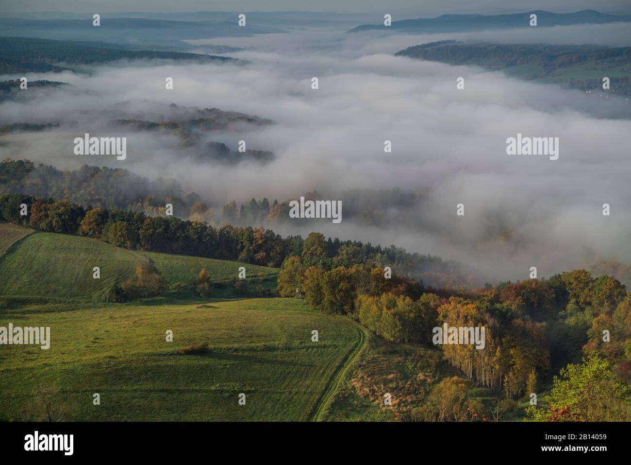 Morgennebel über dem Saaletal,Leuchtenburg,Seitenroda,Kahla,Thüringen,Deutschland Stockfoto