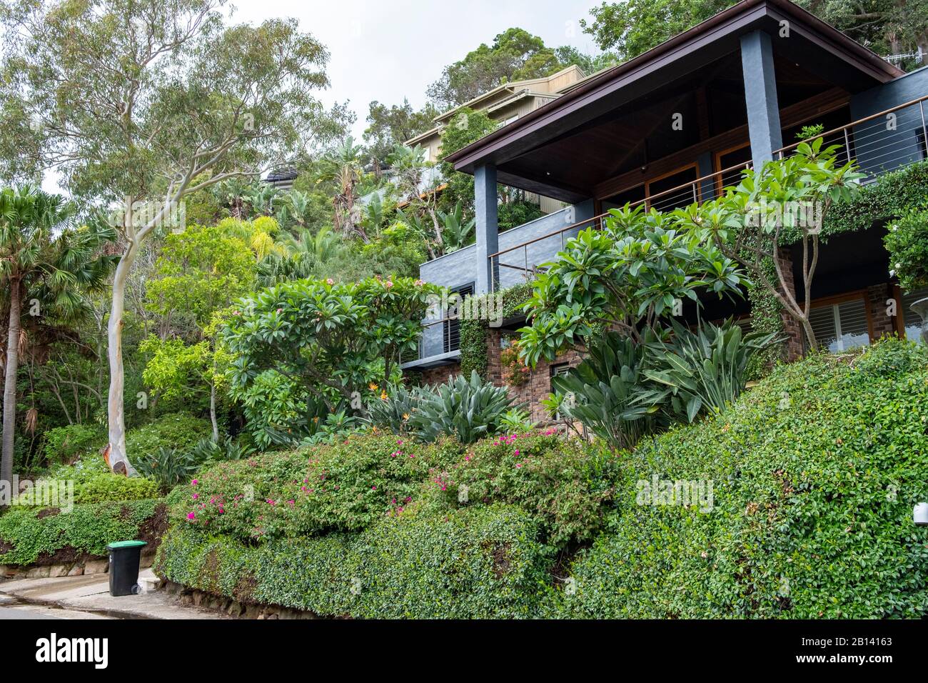Typischer australischer Garten in einem Anwesen an den Nordstränden von Sydney, New South Wales, Australien Stockfoto