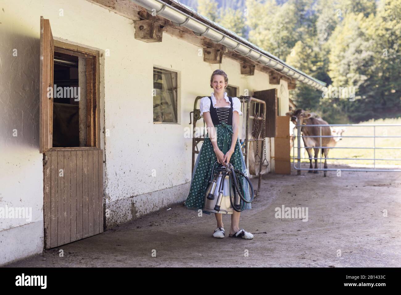 Bauer mit Dirndl trägt eine Melkmaschine Stockfoto