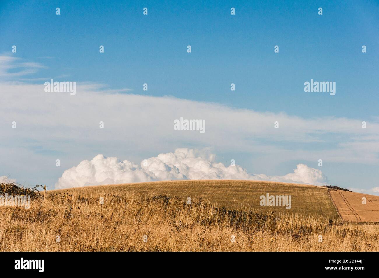 Sieben Schwestern, South Downs, Sussex, Südengland, Großbritannien Stockfoto