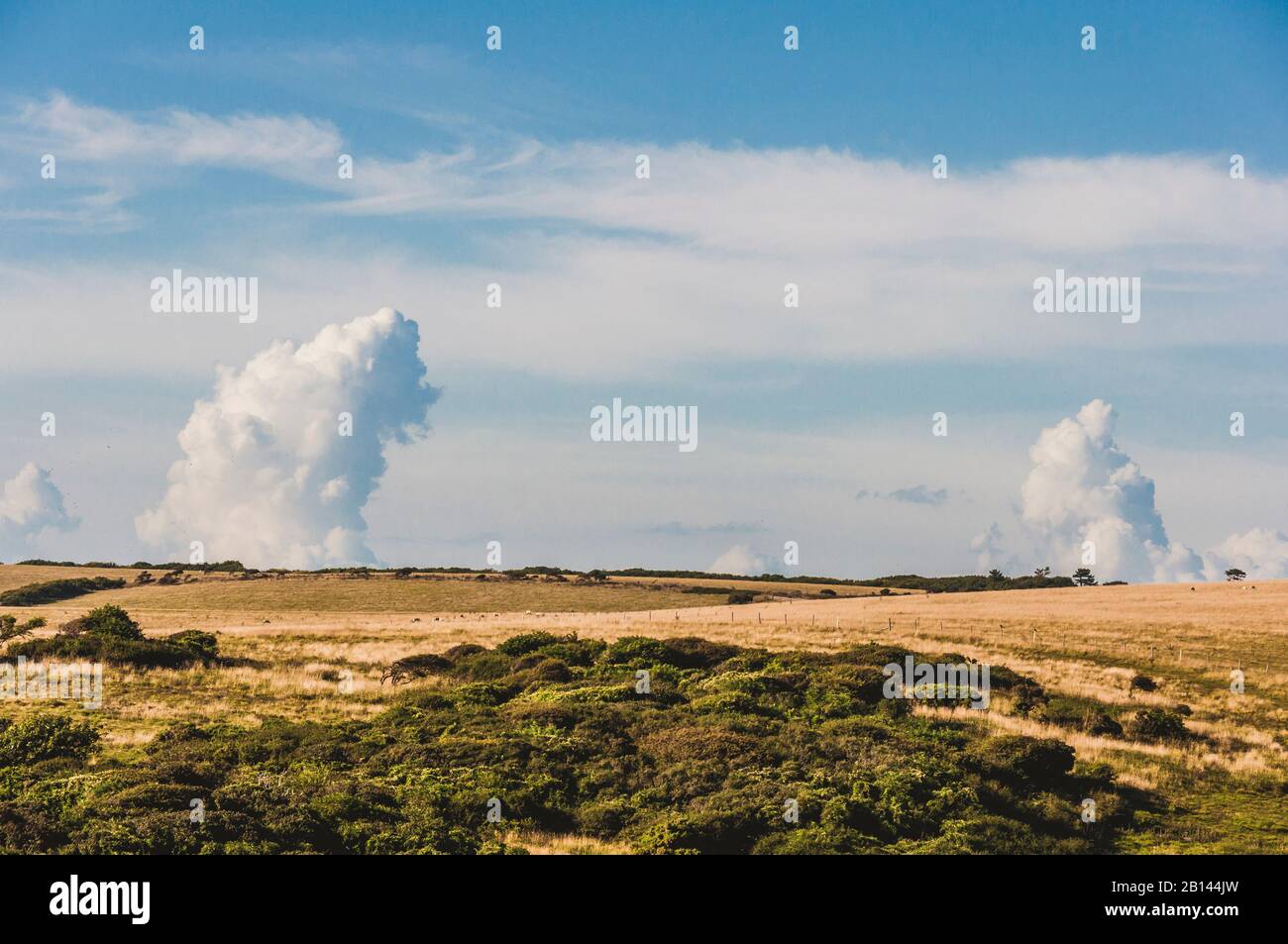 Sieben Schwestern, South Downs, Sussex, Südengland, Großbritannien Stockfoto