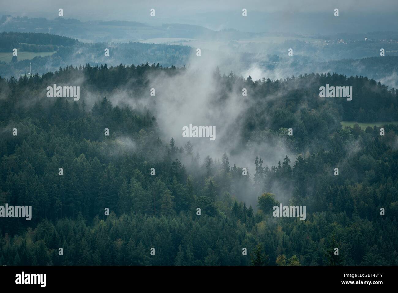 Nebel im Wald. Tschechische Republik Stockfoto