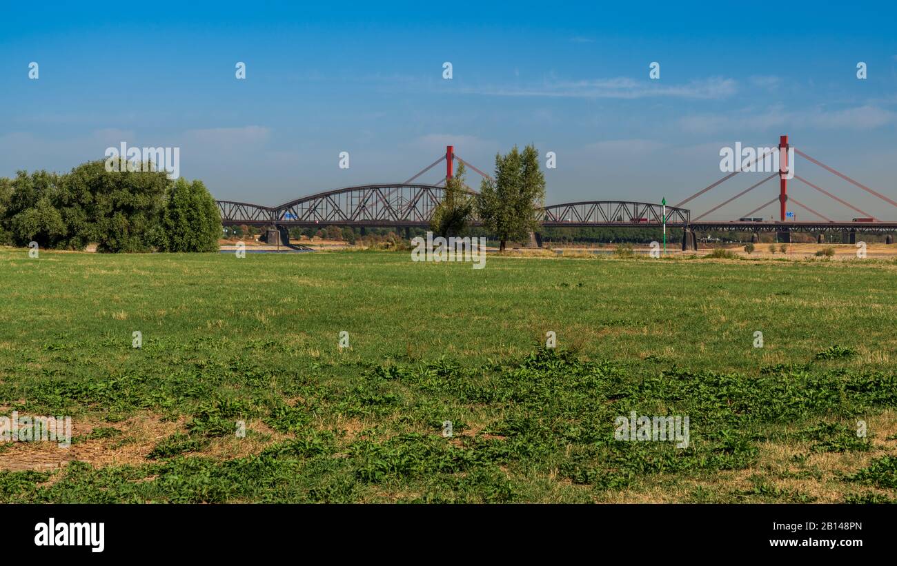 Duisburg, Nordrhein-Westfalen, Deutschland - 07. August 2018: Eine Wiese in Rheinnähe mit der Beeckerwerther Brücke und der Haus-Knipp-Bahn br Stockfoto