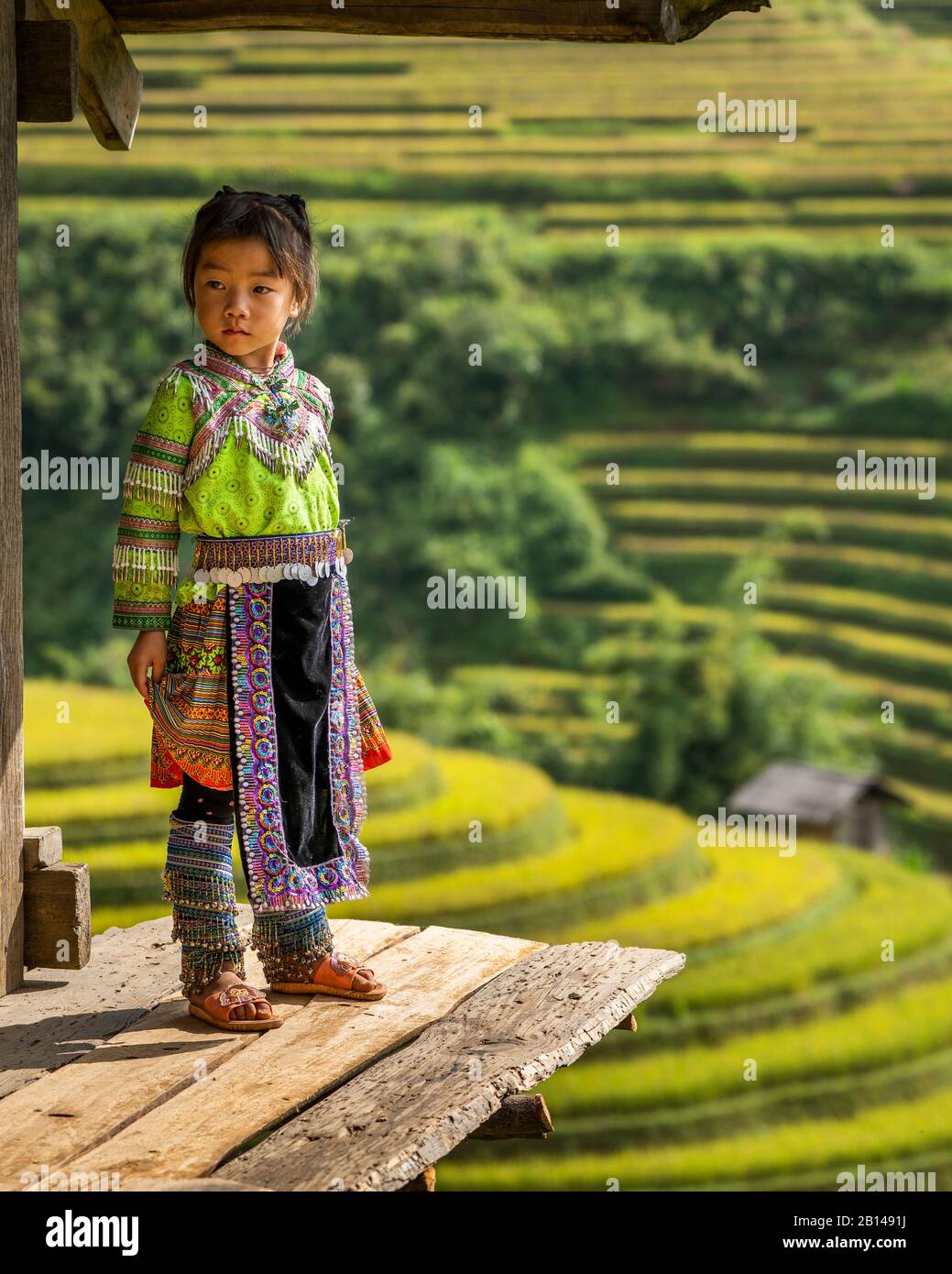 Reisernte in Vietnam, Mädchen in traditioneller Kleidung Stockfoto