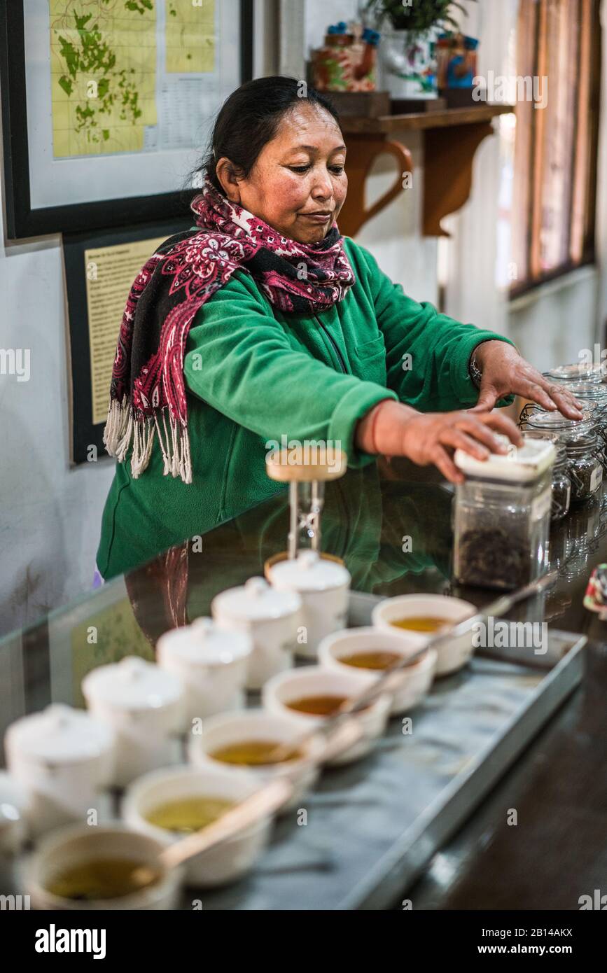 Teefabrik, darjeeling, Indien Stockfoto