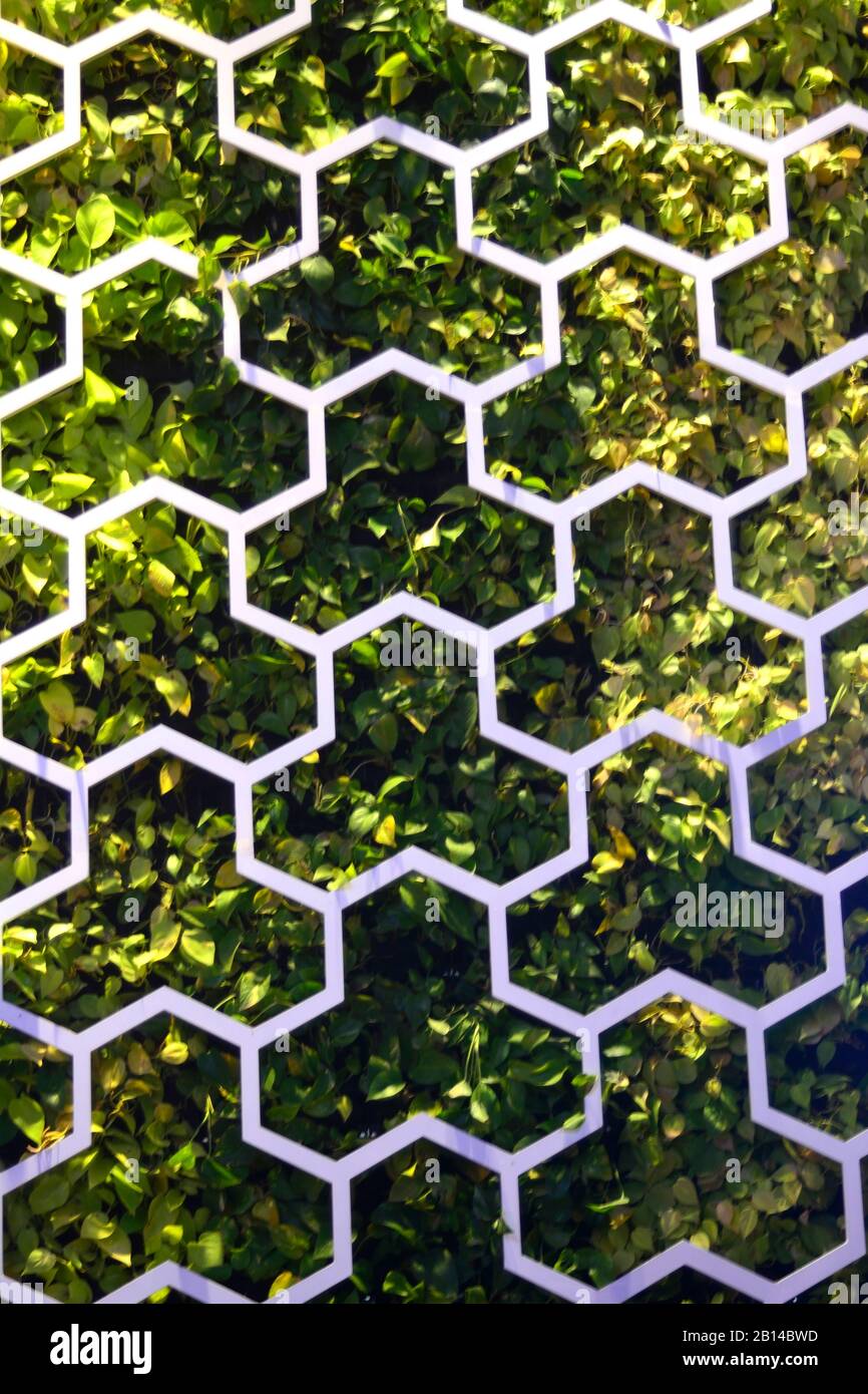 Dekoration Stockfoto