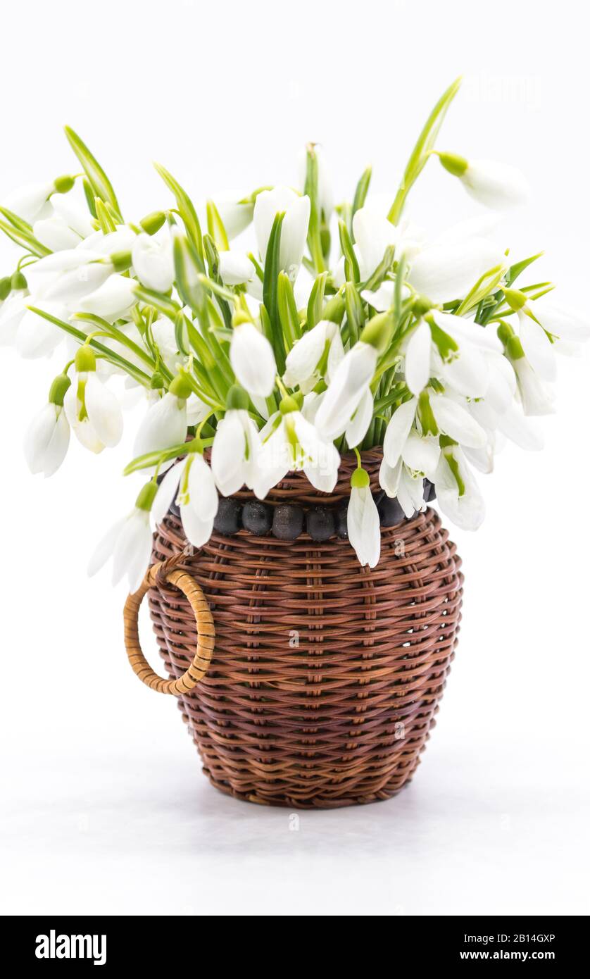 Blumenstrauß mit Schneefall in einem Korb auf farbigem Hintergrund mit rot-weißer Schnur zuerst im märzfest Martisor Concept Stockfoto