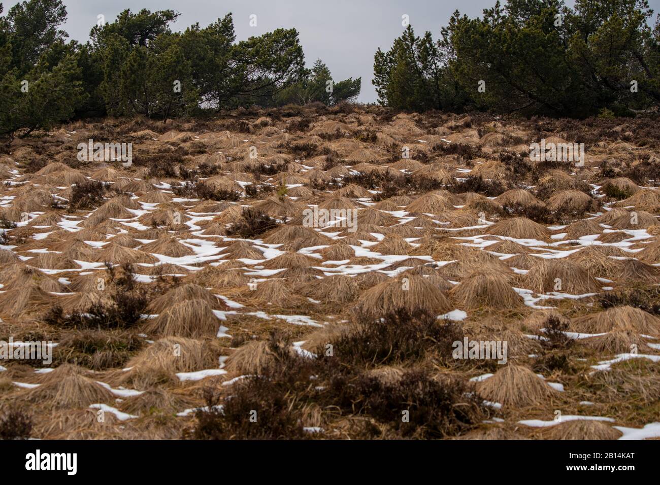 Storm Lothar Stockfotos und bilder Kaufen Alamy