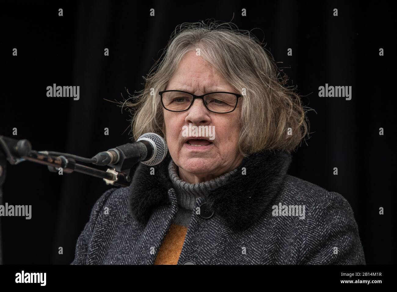 London, Großbritannien. Februar 2020. Lindsey German spricht die Rallye an. Demonstranten marschierten und hielten dann eine Kundgebung im Zentrum Londons ab, um sich gegen die Auslieferung von Julian Assange in die USA zu wehren. Die Veranstaltung, die von Der Kampagne "Don't Extradite Assange" organisiert wird, findet vor einem am Montag beginnenden Prozess statt, bei dem der Wikileaks-Gründer vor einer lebenslangen Haftstrafe in den USA stehen könnte. Credit: David Rowe/Alamy Live News Stockfoto