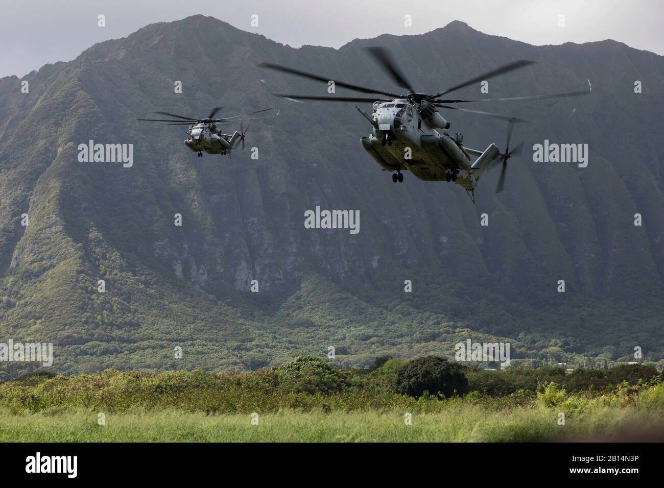 U.S. Marine Corps CH-53E Super Stallions, die der Marine Heavy Helicopter Squadron (HMH) 463 zugeordnet sind, bereiten sich während einer Hubschraubereinführungsübung im Marine Corps Training Area Bellows (MCTAB), Hawaii, am 18. September 2018 auf Land und Absetzung von US Marineinfanterieherien mit der India Company, 3rd Battalion, 3rd Marine Regiment, vor. Das Unternehmen wurde mit CH-53E Super Hengstes in MCTAB eingesetzt, um eine sichere Landezone zu schaffen, über Straßen und durch Dschungelgelände zu patrouillieren und simulierte Dörfer von Hostiles zu löschen. (USA Foto des Marine Corps von Sgt. Jesus Sepulveda Torres) Stockfoto