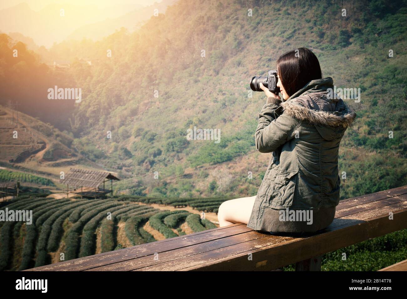 Junge schöne asiatische Touristen tragen eine Digitalkamera, um ein Foto von Teeplantage Feld am Morgen in Chiang Mai, nördlich von Thailand zu nehmen. Stockfoto